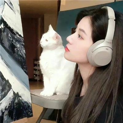 追羊孖宝